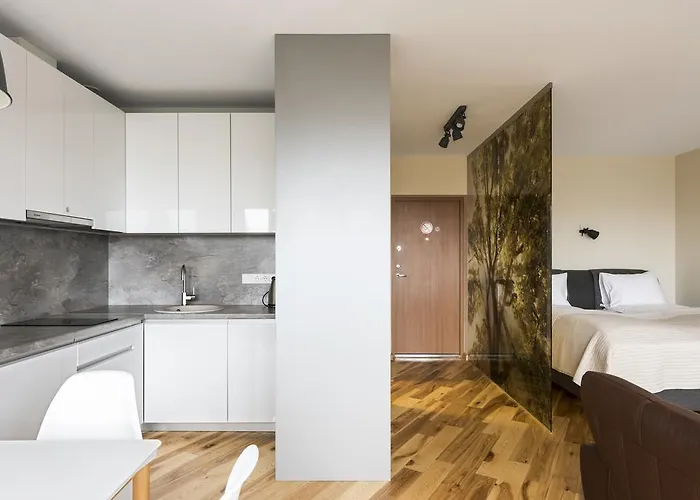 Napoleon Hill Apartment Kaunas